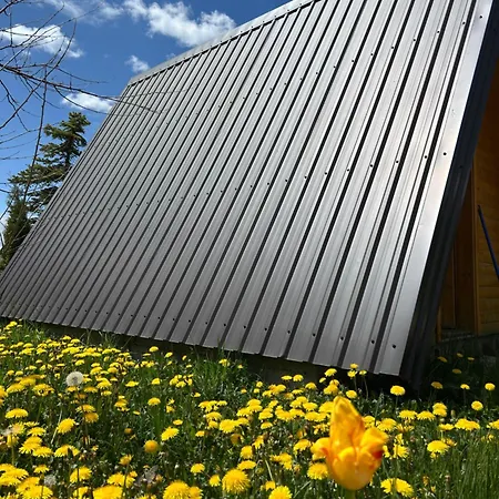 Smaka Brvnare Holiday home